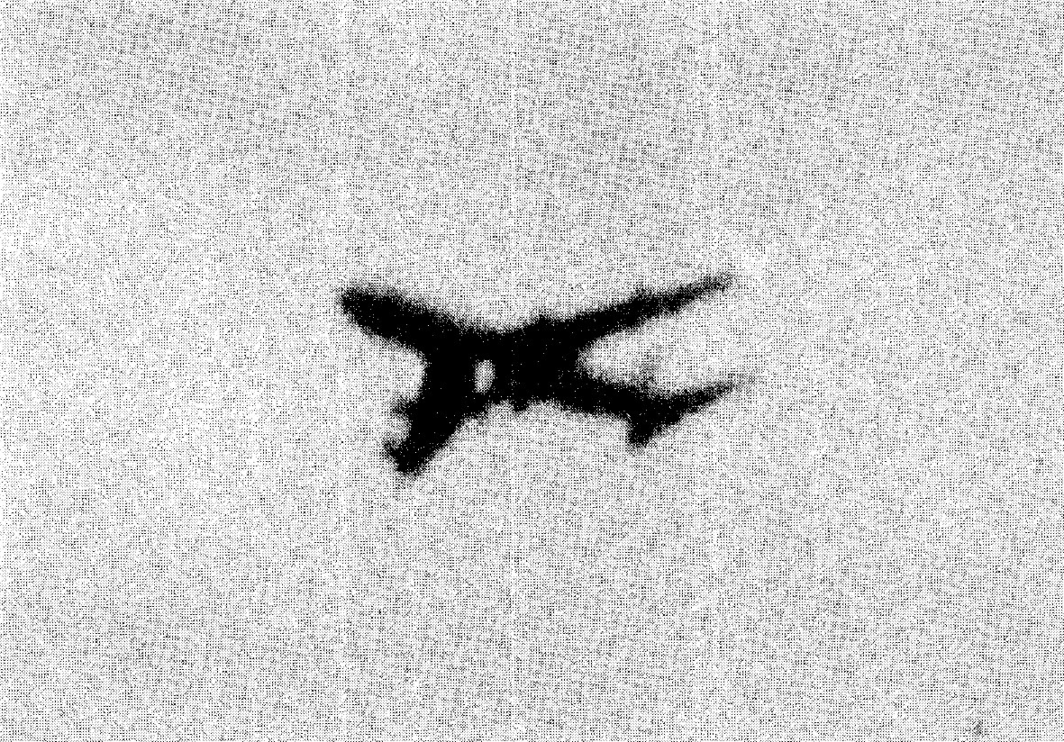 Japan Air Lines Flight 123 photographed over Okutama during the accident flight; reproduced in the investigation report.